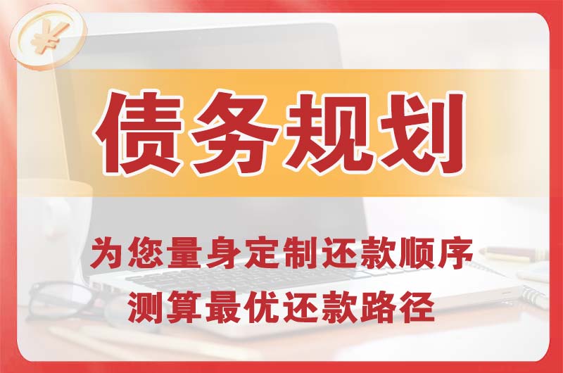 武夷债务规划